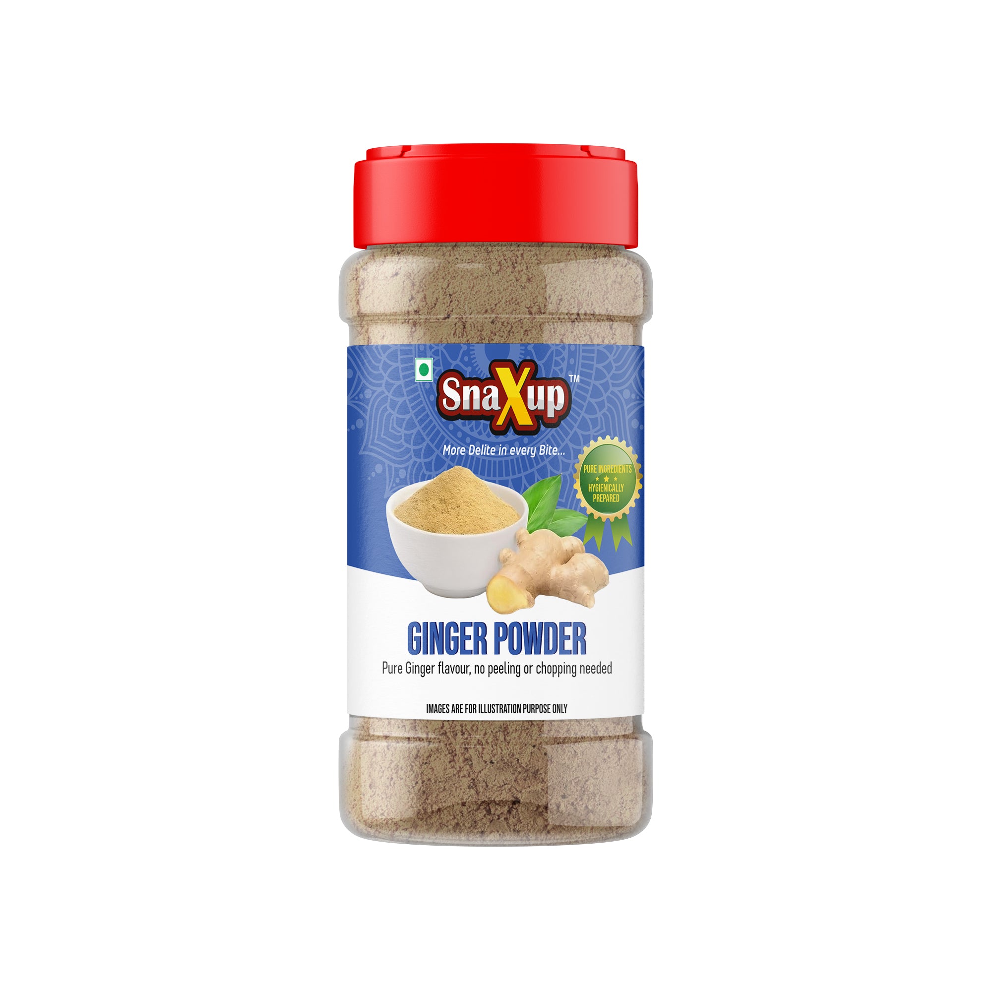 Ginger Powder 100g